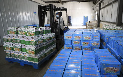 湯崗子村 小酸菜里腌出 幸福味