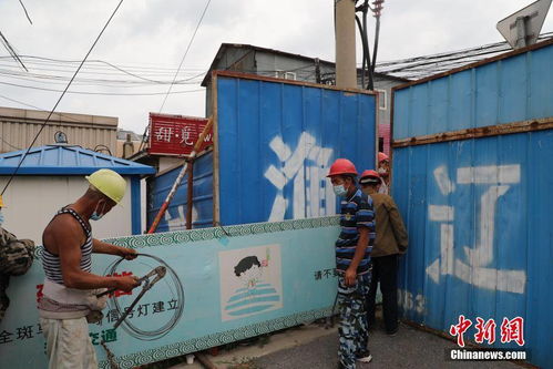 遼寧大連 海產(chǎn)品加工廠檢出病毒 19萬人將進行核酸檢測