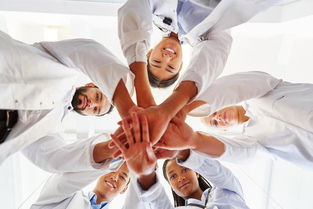 普安特 您的寵物私人醫生