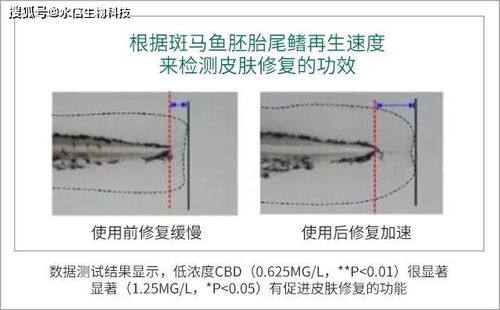 來(lái)看看大麻成分的護(hù)膚品這幾種明顯的效果