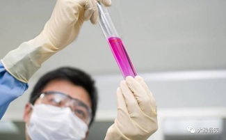 健康│化驗之前你要知道的幾件事