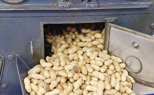 放棄研究生他回鄉(xiāng)創(chuàng)業(yè),兩年就讓公司轉虧為盈