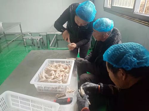 臥龍區(qū)潦河坡鎮(zhèn) 心中綻放幸福花兒