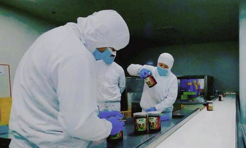 食品安全再上新臺(tái)階 叮咚買(mǎi)菜盱眙工廠fssc體系認(rèn)證通過(guò)