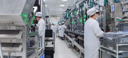 向春而行 協(xié)同一心保生產(chǎn) 上海這個(gè)區(qū)200余家制造業(yè)企業(yè)生產(chǎn)線(xiàn)穩(wěn)定運(yùn)行