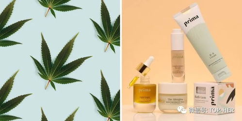 大麻美妝是 概念 還是 未來(lái)